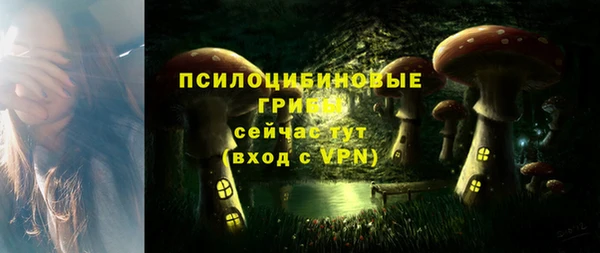 ГАЛЛЮЦИНОГЕННЫЕ ГРИБЫ Аркадак