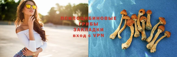 ГАЛЛЮЦИНОГЕННЫЕ ГРИБЫ Аркадак