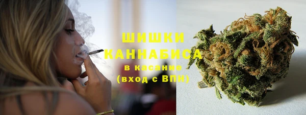 ГАЛЛЮЦИНОГЕННЫЕ ГРИБЫ Аркадак