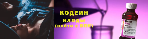 ГАЛЛЮЦИНОГЕННЫЕ ГРИБЫ Аркадак