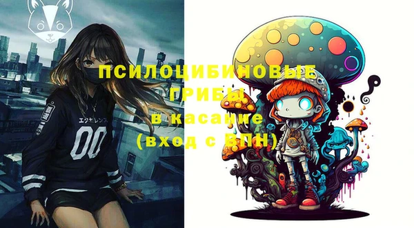 мет Арсеньев