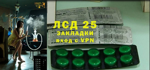 ГАЛЛЮЦИНОГЕННЫЕ ГРИБЫ Аркадак