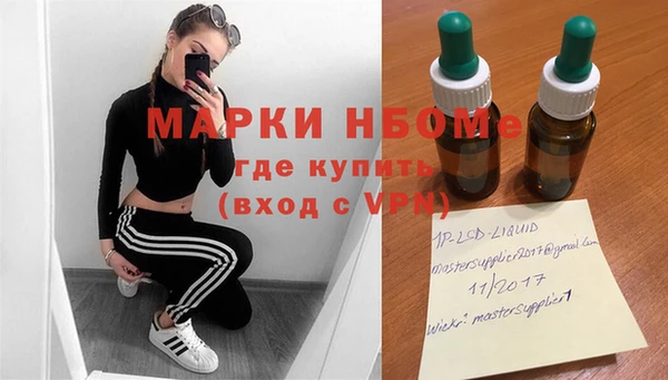 ГАЛЛЮЦИНОГЕННЫЕ ГРИБЫ Аркадак