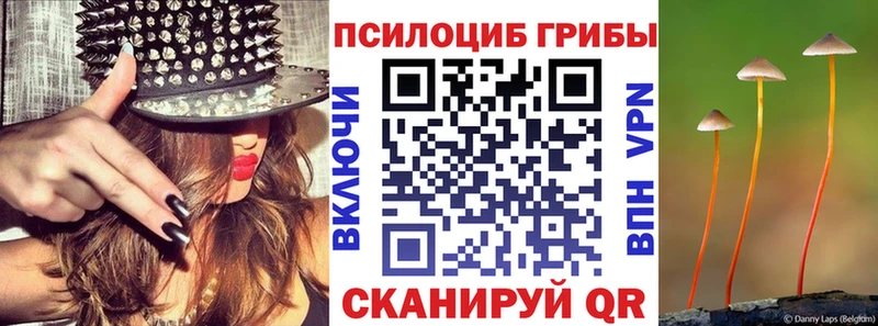 наркота Приморск Галлюциногенные грибы Psilocybe